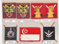 Singapur, Sammlung Ärmelabzeichen, auf Karton getackert und teils geklebt
