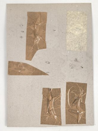 Belgien, Sammlung verschiedener Barettabzeichen