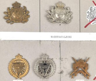 Belgien, Sammlung verschiedener Barettabzeichen