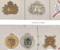 Belgien, Sammlung verschiedener Barettabzeichen