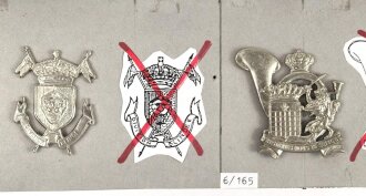 Belgien, Sammlung verschiedener Barettabzeichen