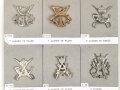 Belgien, Sammlung verschiedener Barettabzeichen