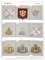 Belgien, Sammlung verschiedener Barettabzeichen
