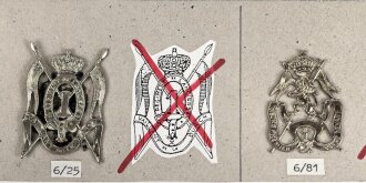 Belgien, Sammlung verschiedener Barettabzeichen