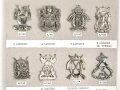Belgien, Sammlung verschiedener Barettabzeichen
