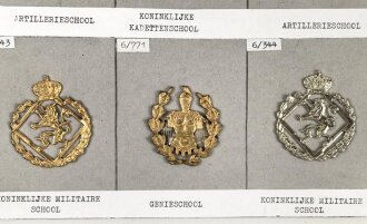Belgien, Sammlung verschiedener Barettabzeichen