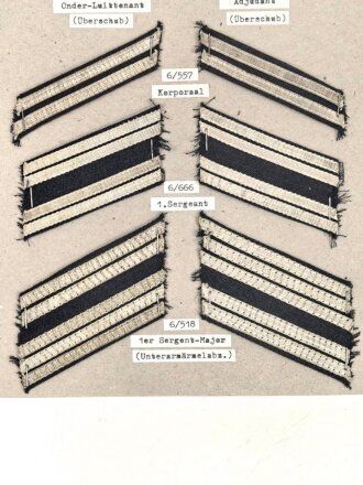 Belgien, Sammlung Rangabzeichen Luftwaffe, auf Karton getackert