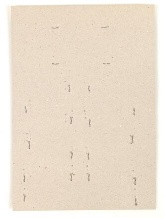 Belgien, Sammlung Rangabzeichen Luftwaffe, auf Karton getackert