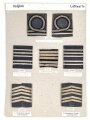 Belgien, Sammlung Rangabzeichen Luftwaffe, auf Karton getackert