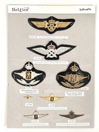 Belgien, Sammlung Rangabzeichen und Mützenabzeichen...