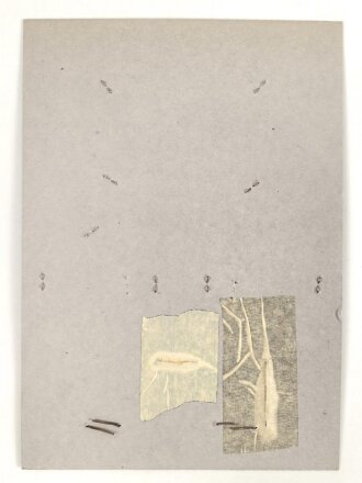 Belgien, Sammlung Rangabzeichen und Mützenabzeichen Luftwaffe, auf Karton getackert