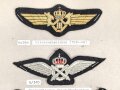 Belgien, Sammlung Rangabzeichen und Mützenabzeichen Luftwaffe, auf Karton getackert