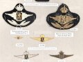 Belgien, Sammlung Rangabzeichen und Mützenabzeichen Luftwaffe, auf Karton getackert