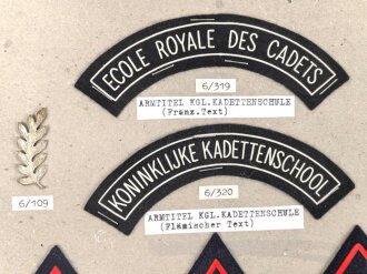 Belgien, Sammlung Rangabzeichen, auf Karton getackert