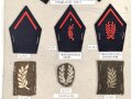Belgien, Sammlung Rangabzeichen, auf Karton getackert