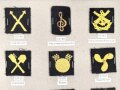 Finnland, Sammlung Truppenabzeichen der Marine, auf Karton getackert