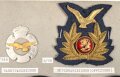 Finnland, Sammlung Abzeichen und Ärmelabzeichen der Luftwaffe, auf Karton getackert