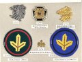 Finnland, Sammlung Ärmelabzeichen und Barettabzeichen, auf Karton getackert