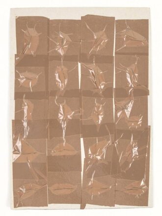 Finnland, Sammlung Barettabzeichen, auf Karton