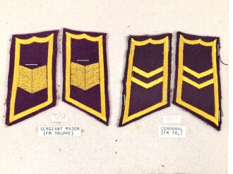 Finnland, Sammlung Rangabzeichen, auf Karton getackert