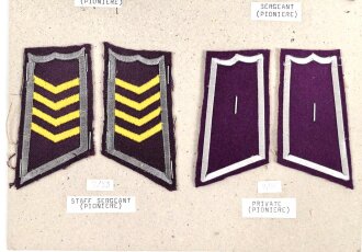 Finnland, Sammlung Rangabzeichen der Pioniere, auf Karton getackert