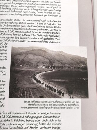 "Die kahlen, kalten Berge - der erste Weltkrieg im Alpenraum die Deutsche Gebirgstuppe und das Württembergische Gebirgsbataillon" 286 Seiten, DIN A4