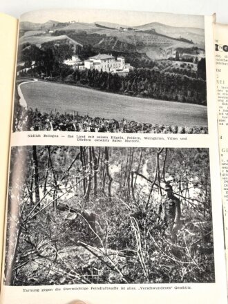 "Gebirgsjäger an allen Fronten - Berichte von den Kämpfen der deutschen und österreichischen Gebirgsdivisionen" 256 Seiten, datiert 1954, DIN A5