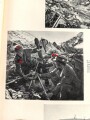 "Gebirgsjäger an allen Fronten - Berichte von den Kämpfen der deutschen und österreichischen Gebirgsdivisionen" 256 Seiten, datiert 1954, DIN A5