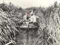 "Kampf um den Kaukasus" 63 Seiten und Bilder, datiert 1954, DIN A4