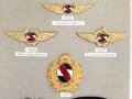 Uruguay, Sammlung Ärmelabzeichen und Pilotenabzeichen der Polizei, auf Karton getackert