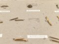 Guatemala, Sammlung verschiedener Mützenabzeichen