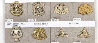 Irland, Sammlung verschiedener Kragenabzeichen