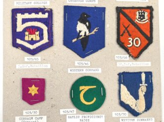 Irland, Sammlung Ärmelabzeichen Heer, auf Karton getackert