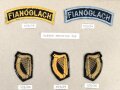 Irland, Sammlung Mützenabzeichen und Rangabzeichen Heer, auf Karton getackert