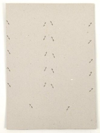 Irland, Sammlung Ärmelabzeichen, auf Karton getackert