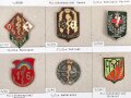 Belgien, Sammlung verschiedener Abzeichen der Sanitätstruppen