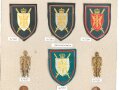 Belgien, Sammlung Ärmelabzeichen und Brustanhänger " Generalstab ", auf Karton getackert