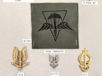 Belgien, Sammlung Ärmelabzeichen und Kragenabzeichen, auf Karton getackert