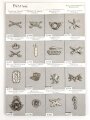 Belgien, Sammlung Schulterklappen und Kragenabzeichen