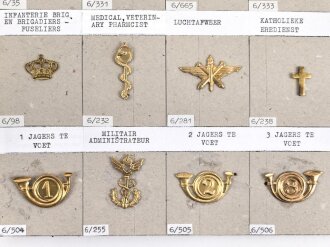 Belgien, Sammlung Schulterklappen und Kragenabzeichen