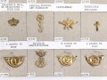 Belgien, Sammlung Schulterklappen und Kragenabzeichen