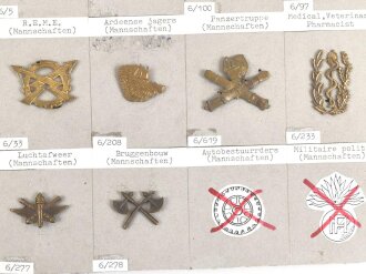 Belgien, Sammlung Schulterklappen und Kragenabzeichen