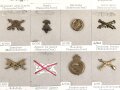 Belgien, Sammlung Schulterklappen und Kragenabzeichen
