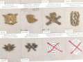 Belgien, Sammlung Schulterklappen und Kragenabzeichen