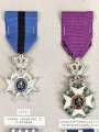Belgien, Sammlung Orden und Ehrenzeichen ( zum Teil nicht Original ) , auf Karton getackert und geklebt