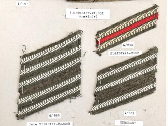 Belgien, Sammlung Rangabzeichen und Armbinde Heer, auf Karton getackert