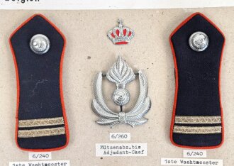 Belgien, Sammlung Rangabzeichen und Mützenabzeichen,...