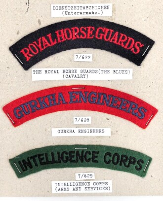 Großbritannien, Sammlung Ärmelabzeichen, auf Karton getackert