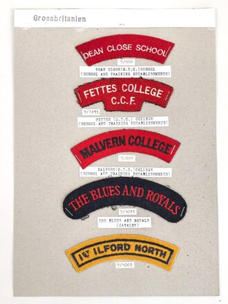 Großbritannien, Sammlung Ärmelabzeichen, auf Karton getackert