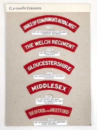 Großbritannien, Sammlung Ärmelabzeichen, auf Karton getackert